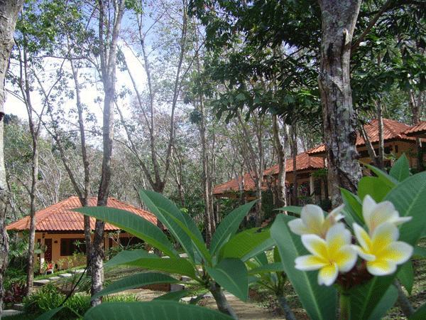 Koh Mook Rubber Tree Bungalows Esterno foto